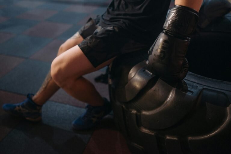 Melhores Luvas de Boxe